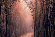 开云体育:国米复仇菲奥伦蒂那 一分紧追意甲领头羊那波利.