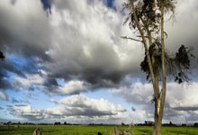 独中两元助球队获胜！马卡晒出漫画：姆巴佩独自扛起皇马重担.