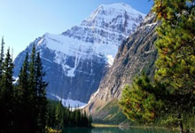 上海市足协贺电海港:上海职业足球首个双冠王.